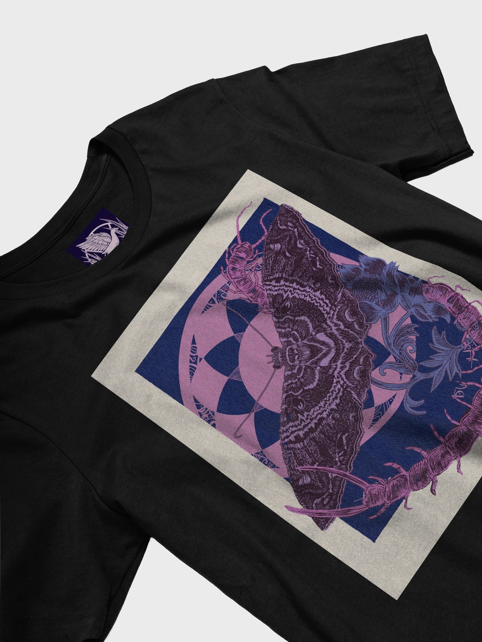 Polilla bruja y escolopendra product image (3)