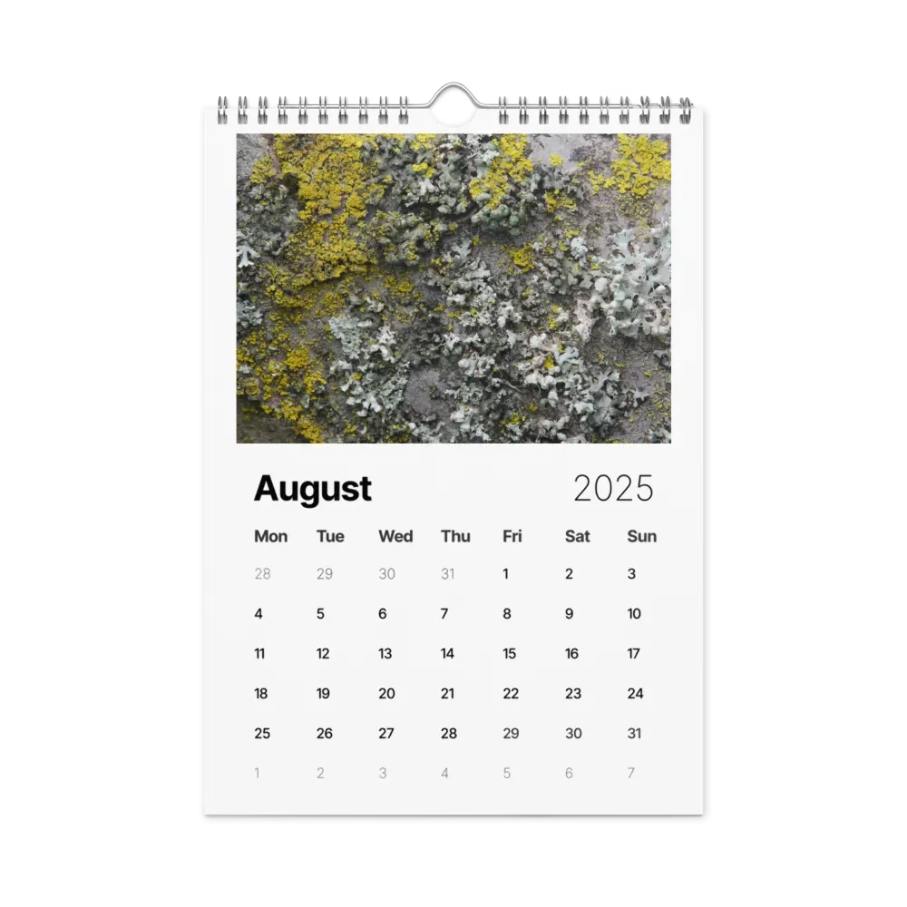 Likin' Lichen 2025 Wall Calendar product image (9)