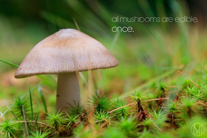 Quote Wallpaper Pack product image (1)