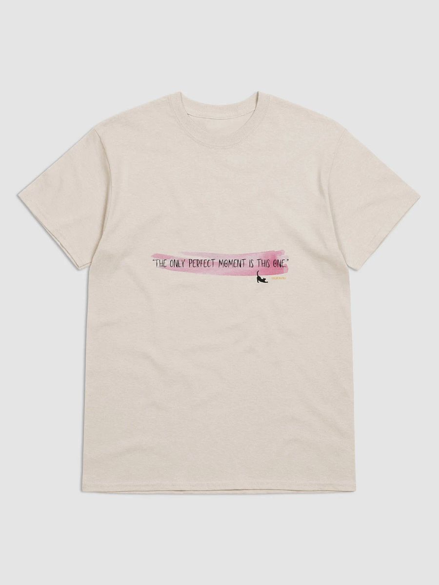 Perfect Moment Vibes T-Shirt product image (26)