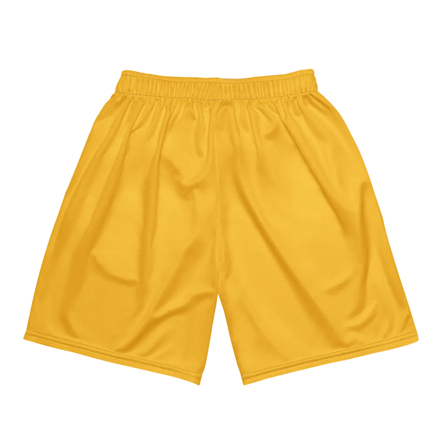 Gemini Symbol Unisex Mesh Shorts product image (5)