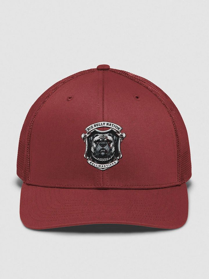 BBN Alter Ego Trucker Hat product image (1)