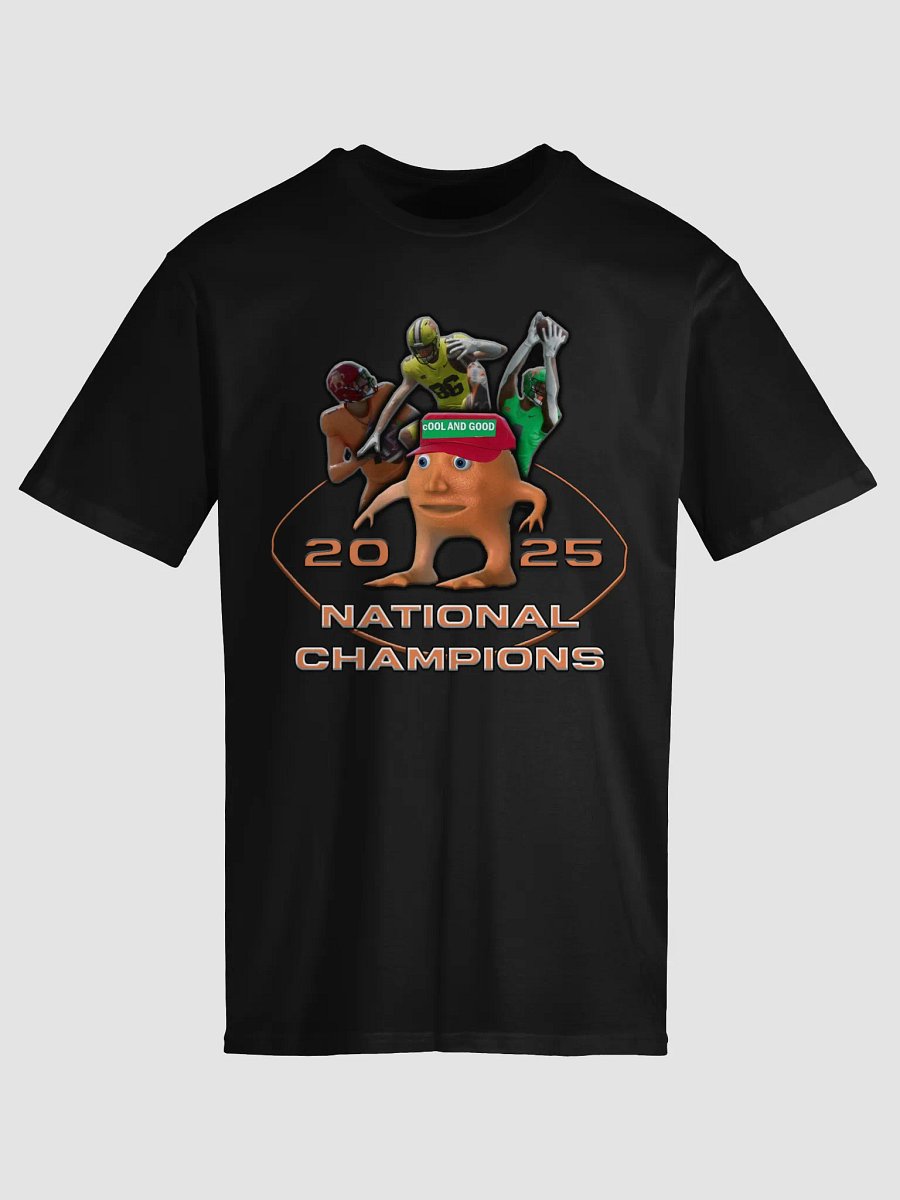 Tardaria 2025 National Champions AS Colour Unisex Premium T-Shirt product image (25)