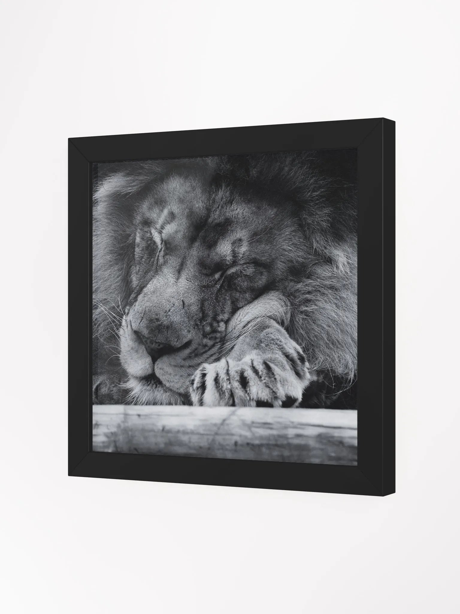 The Sleeping King product image (14)