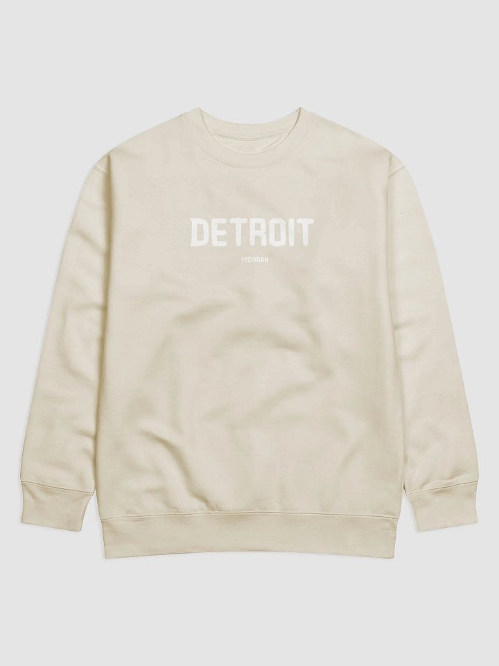 Detroit Michigan Sweatshirt for Men Women Youth Kids Unisex Gift product image (2)