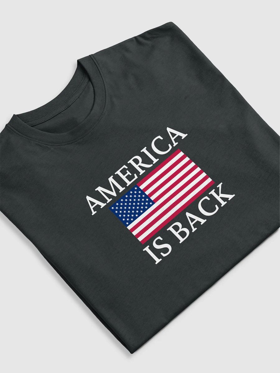 AMERICA IS BACK Tee product image (2)