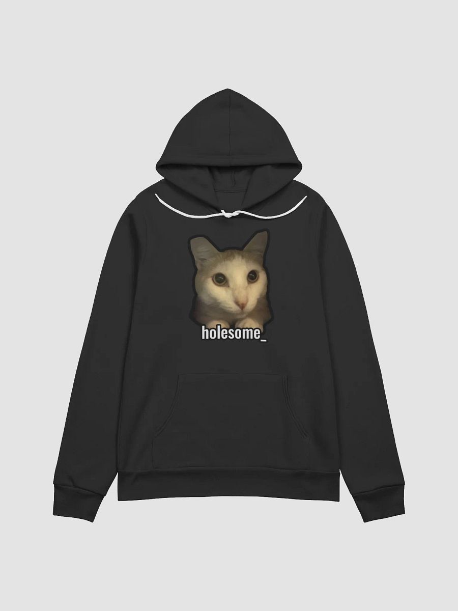 holesome Nico Hoodie product image (3)