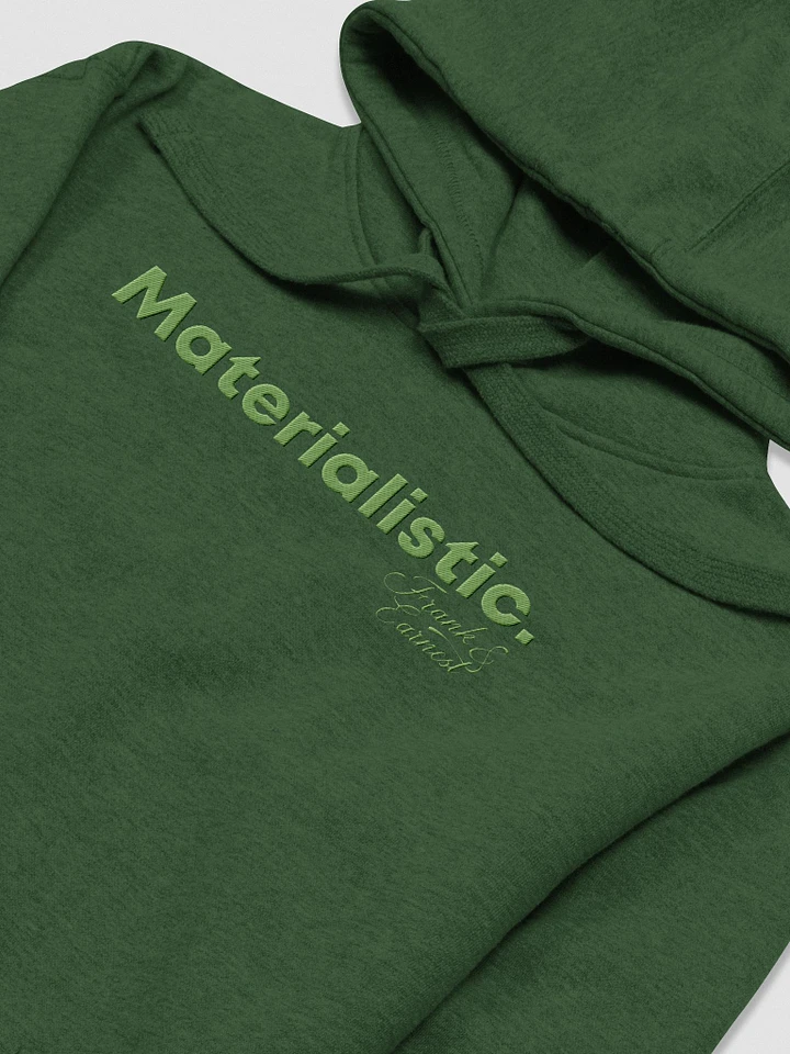 Materialistic Embroidered Hoodie F&E1 product image (1)