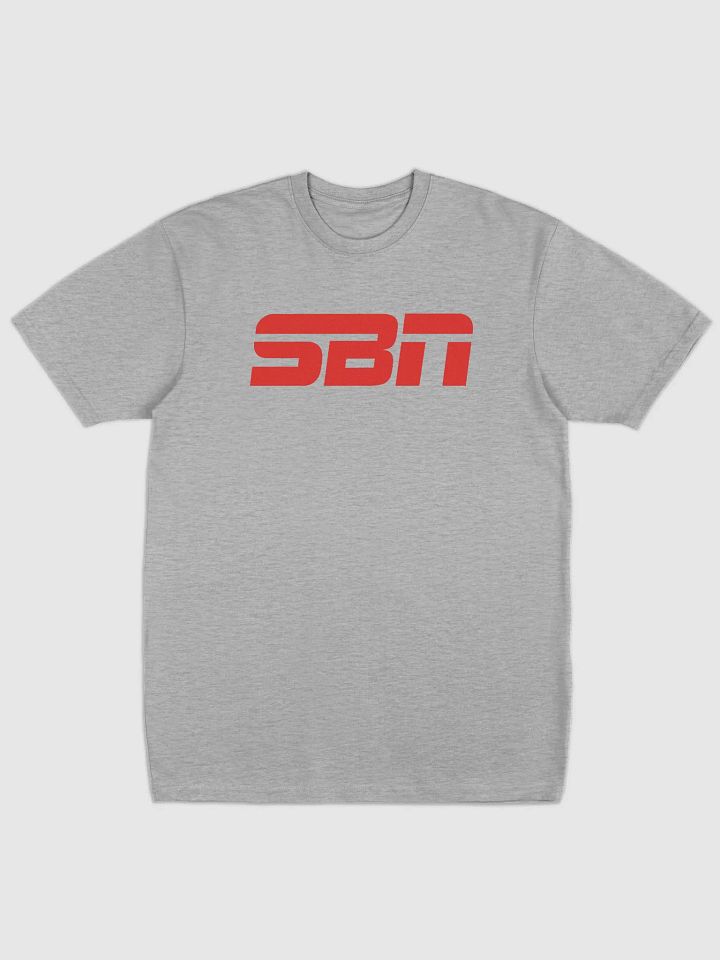 SBN Heavyweight T-Shirt Gray product image (1)