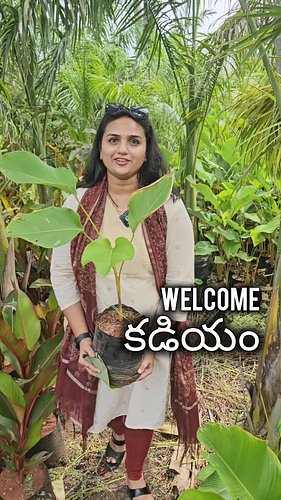 Buying Plants in Indian Village 

#plants #buying #tree #green #plant #Shopping #outdoor