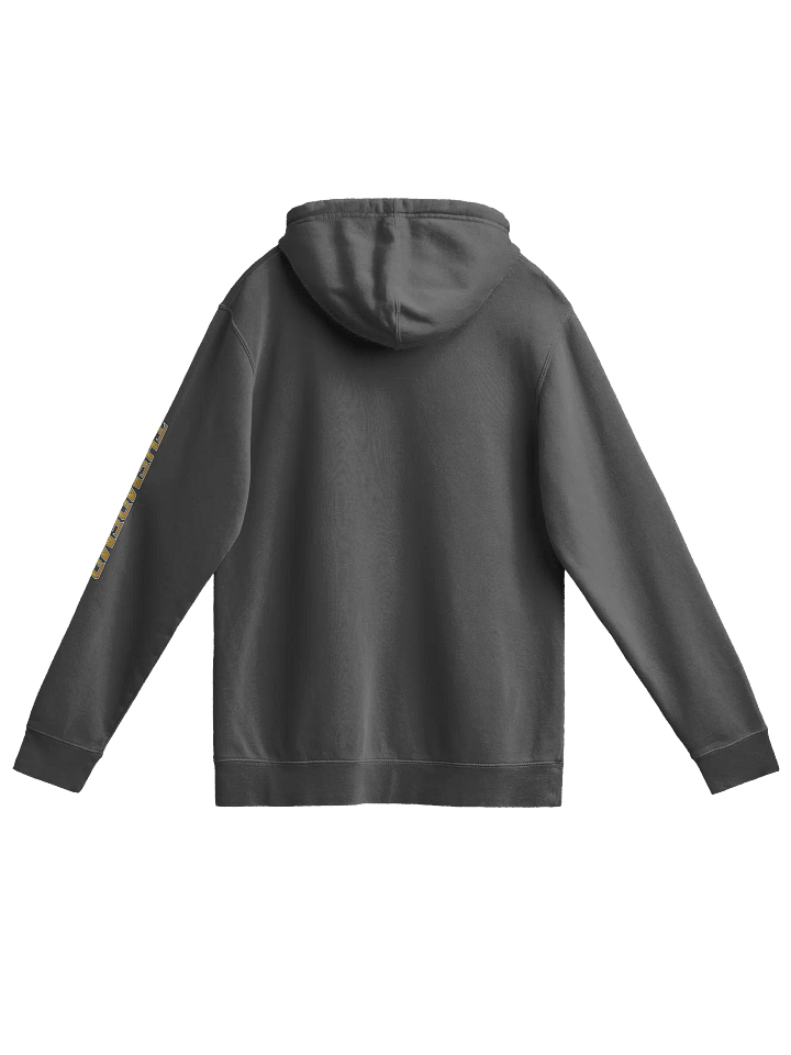 Bairn Pigment Hoodie product image (2)