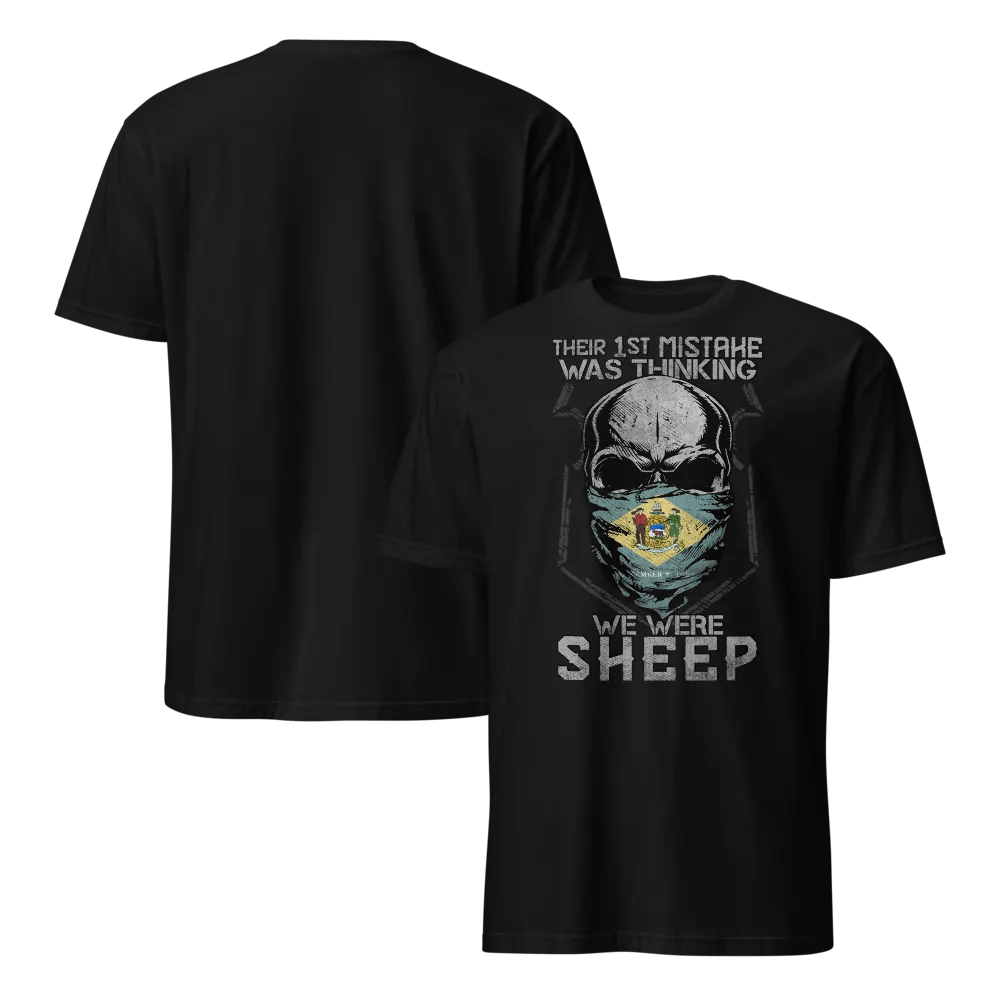 Delaware: Their First Mistake product image (6)