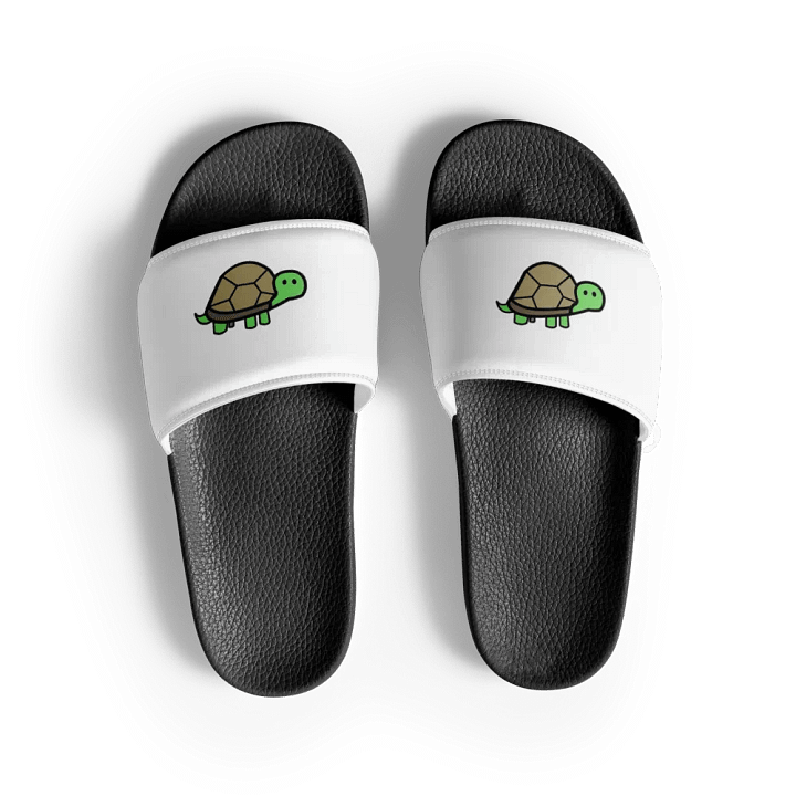 turtle flips product image (2)