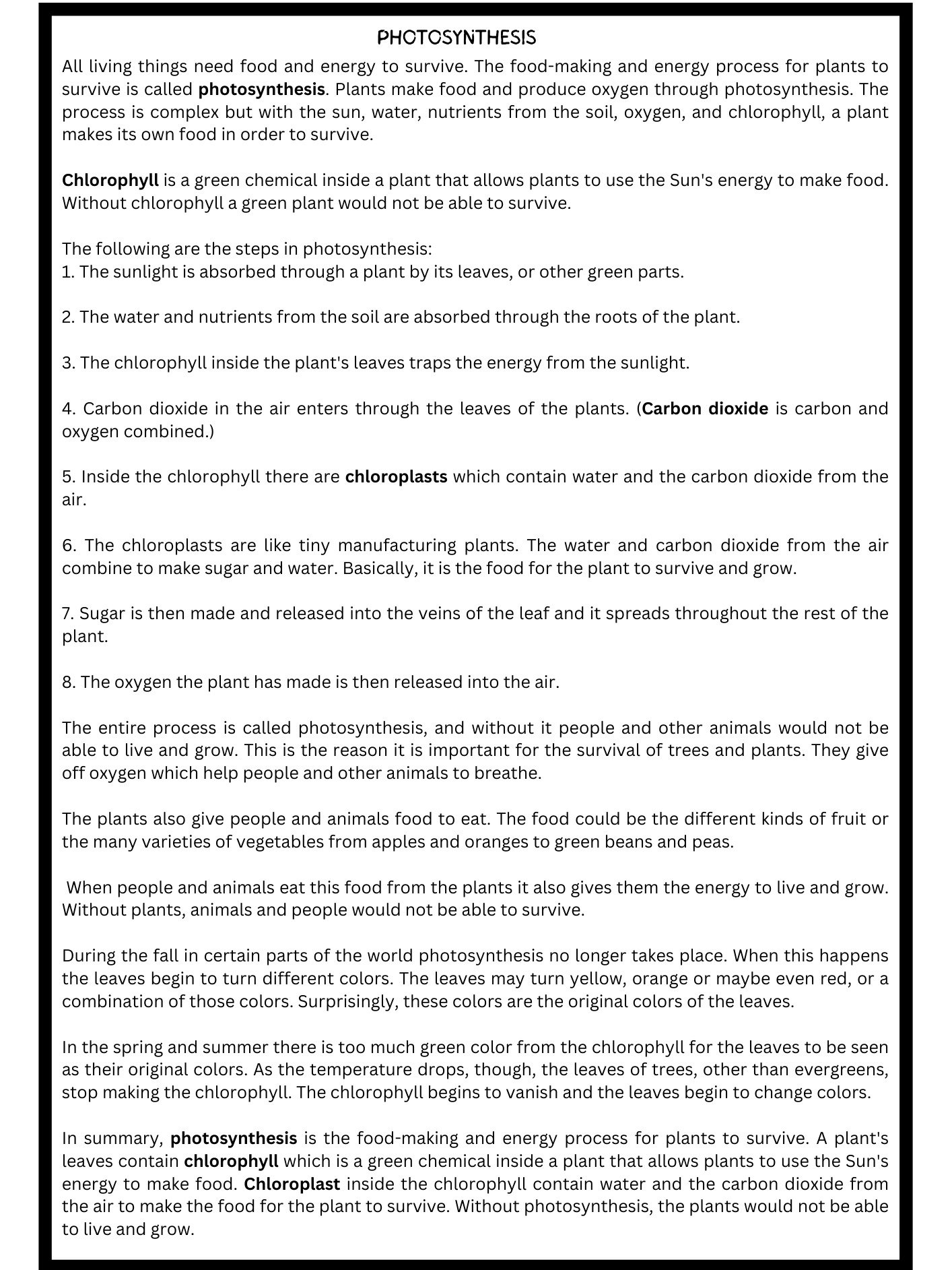 reading passages on photosynthesis worksheets with questions product image (2)