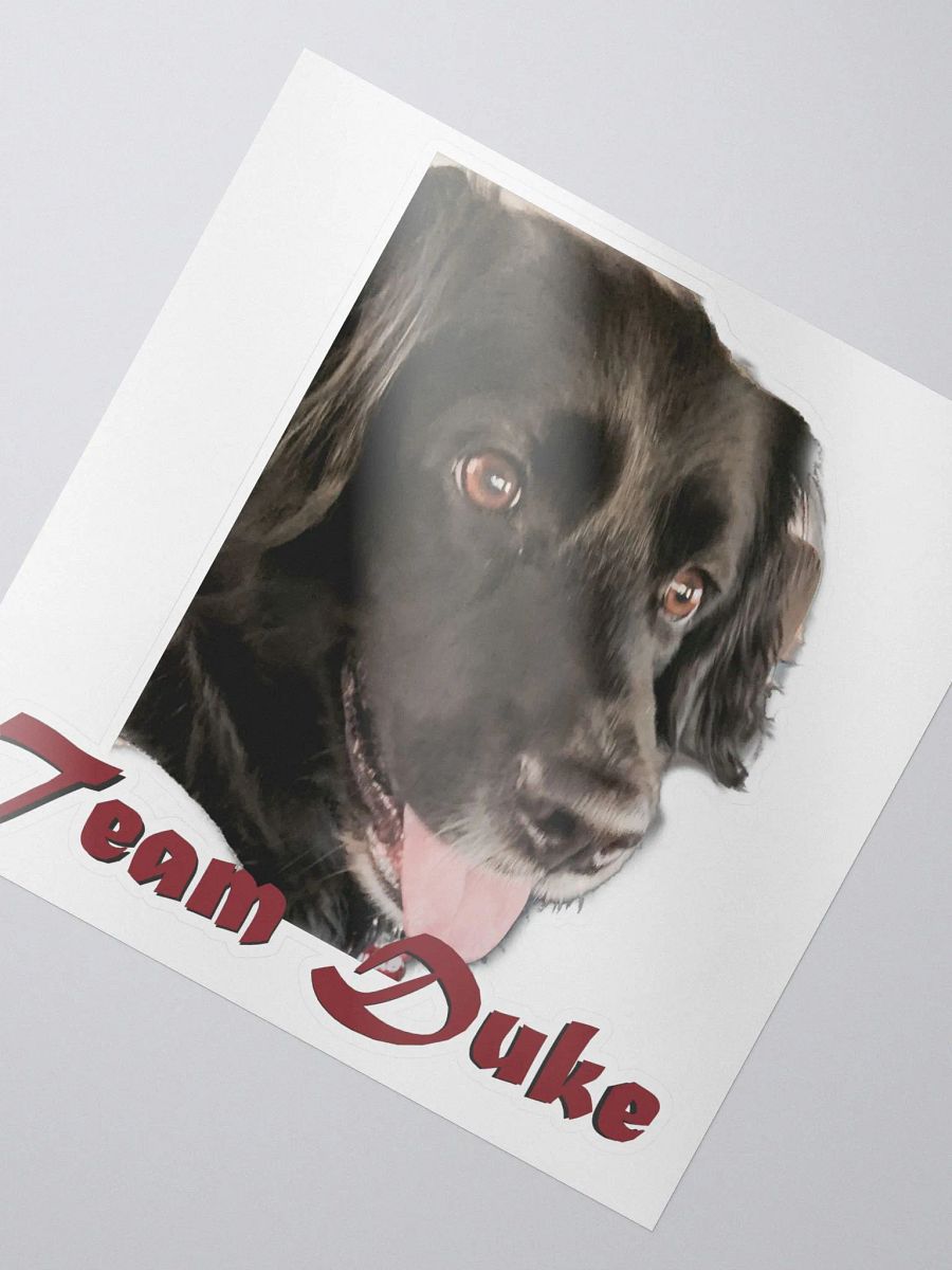 Team Duke Sticker product image (2)