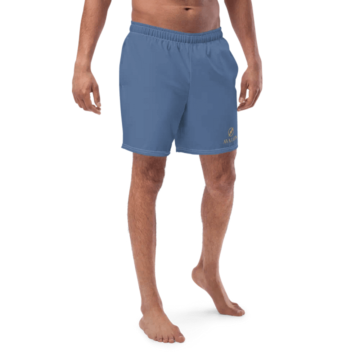 Avalon Men's Logo Print Swim Trunks product image (1)