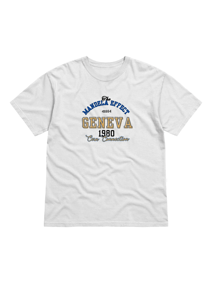 The Mandela Effect - CERN Conspiracy Geneva 1980 - Heavyweight Tee product image (9)