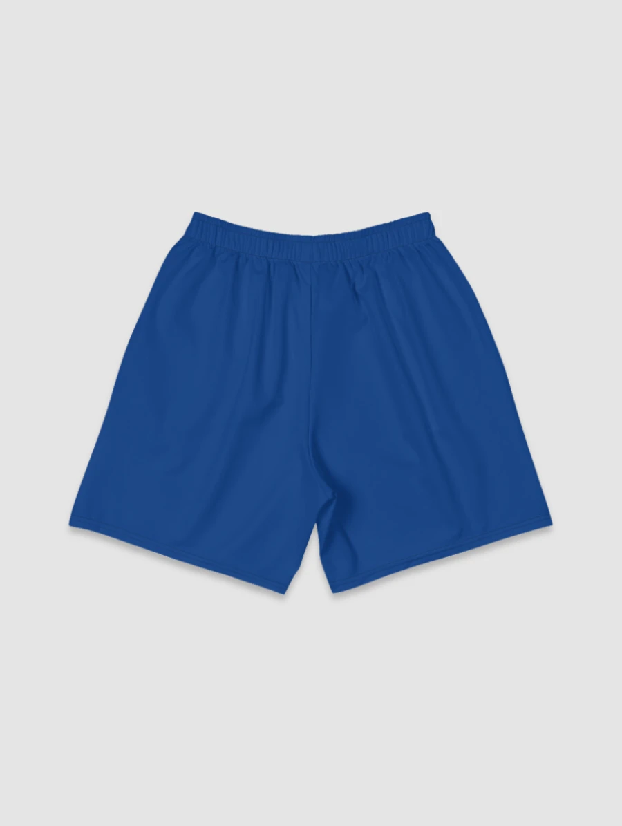 SS'23 Shorts - Royal Blue product image (2)