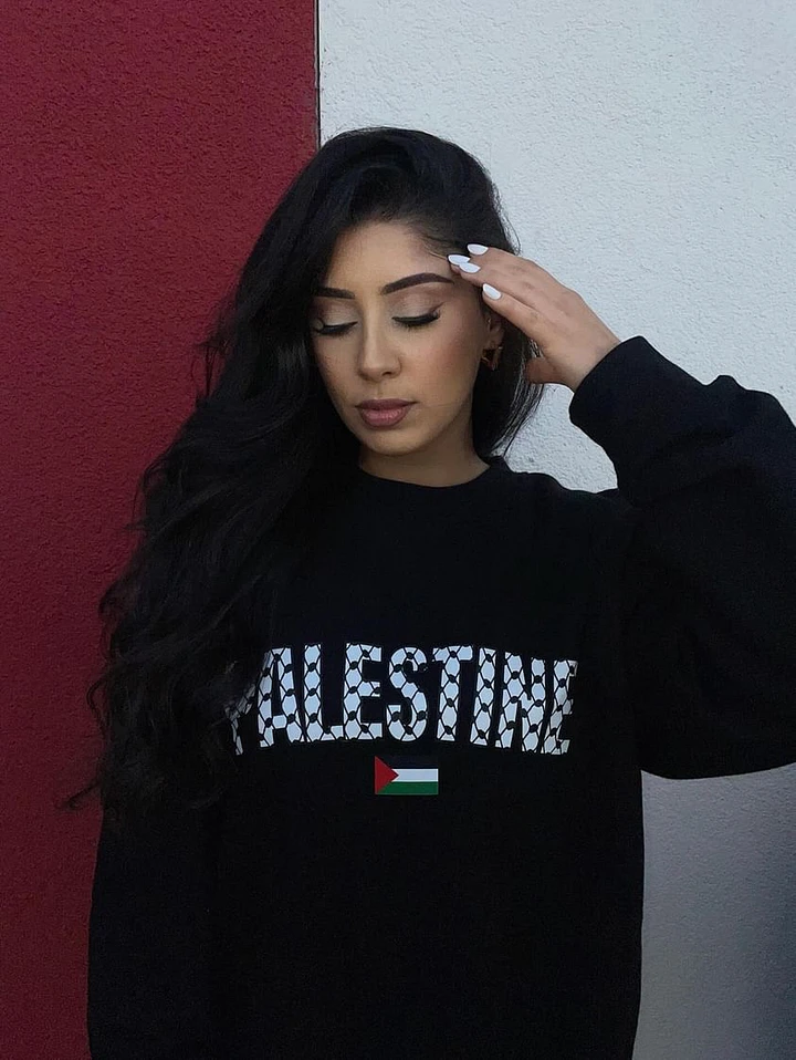 Palestine Sweater-Printed product image (1)