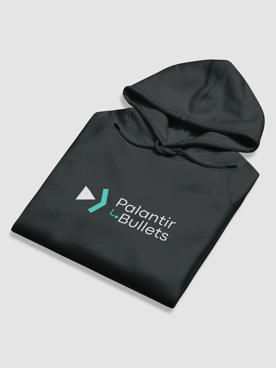 Palantir Bullets Hoodie Black product image (5)