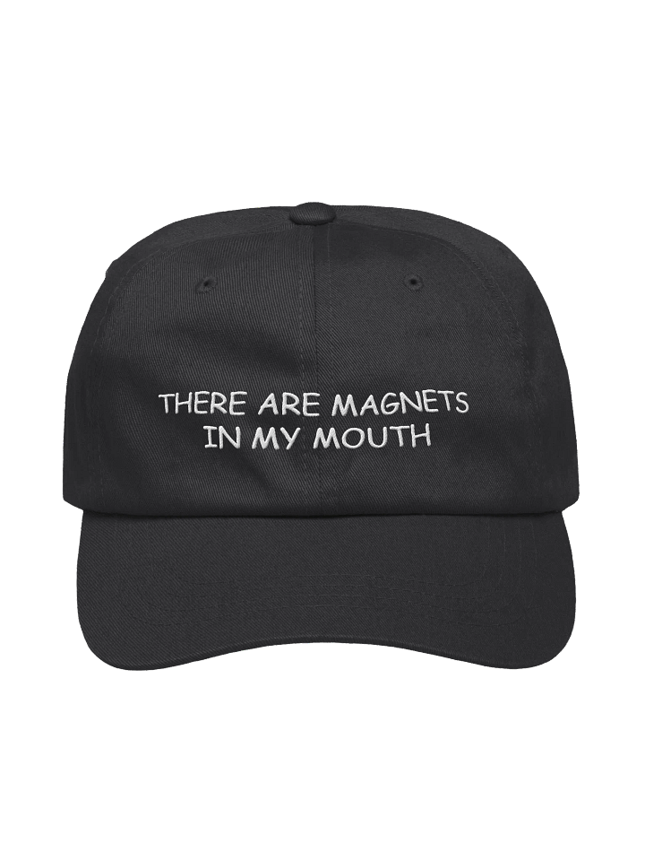 magnets hat product image (1)