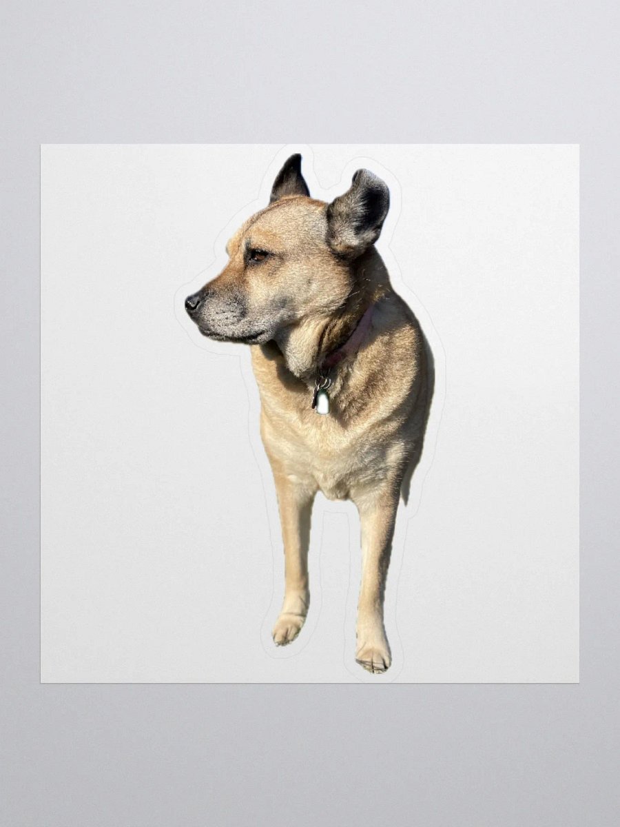 Brinlee sticker product image (1)