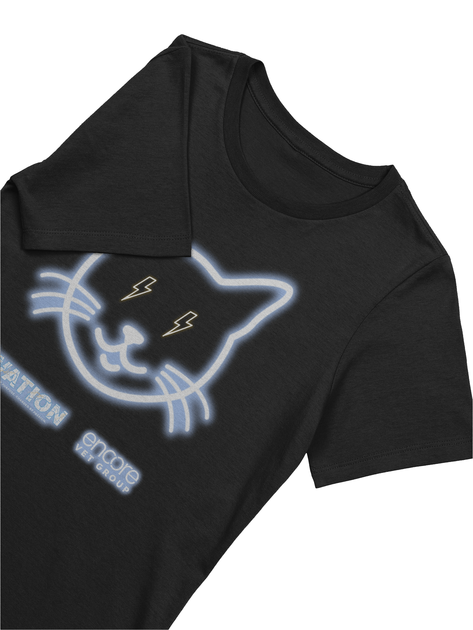 Ovation Electric Cat T-shirt - Women's Relaxed Bella+Canvas product image (9)