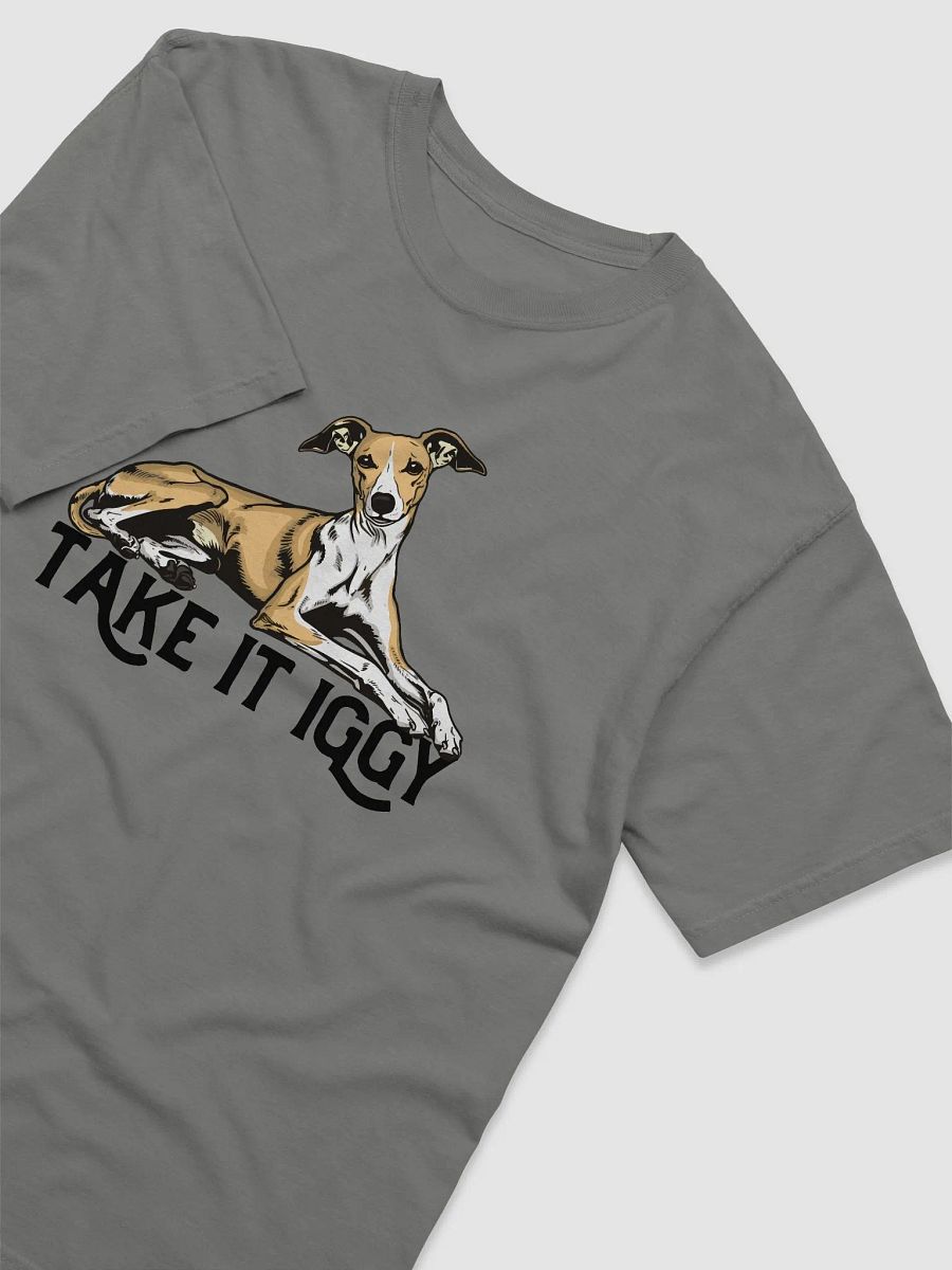 Take It Iggy T-Shirt of an Italian Greyhound (Fawn) | Funny T-Shirt for Iggy Paw-rents product image (16)