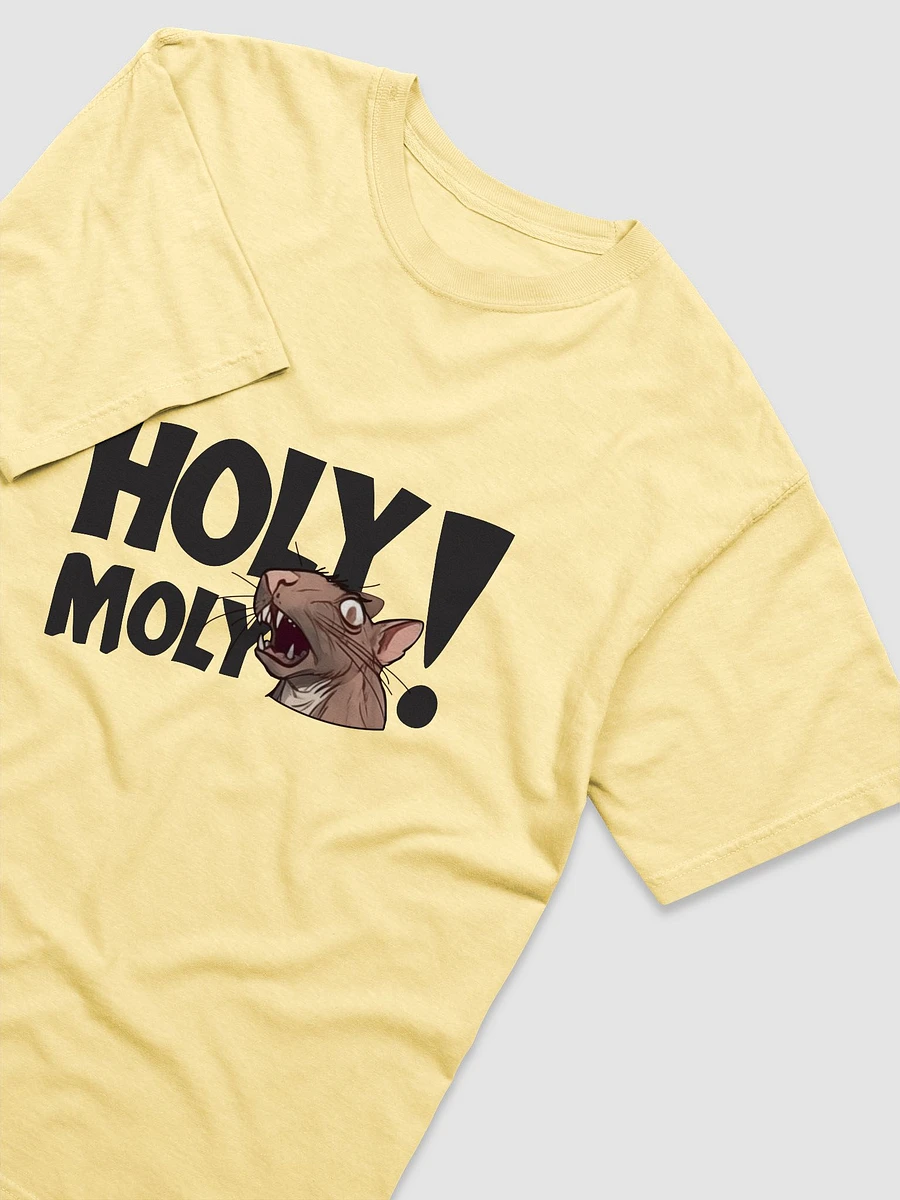 HOLY MOLY RAT T-SHIRT (bright heavyweight) product image (9)