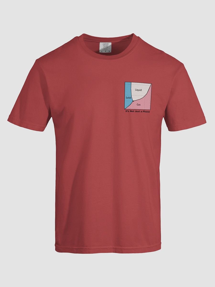 It's Not Just a Phase- Trans T Shirt product image (20)