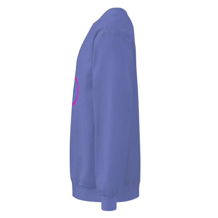 Traditional Is The Only Way Unisex Sweatshirt product image (3)