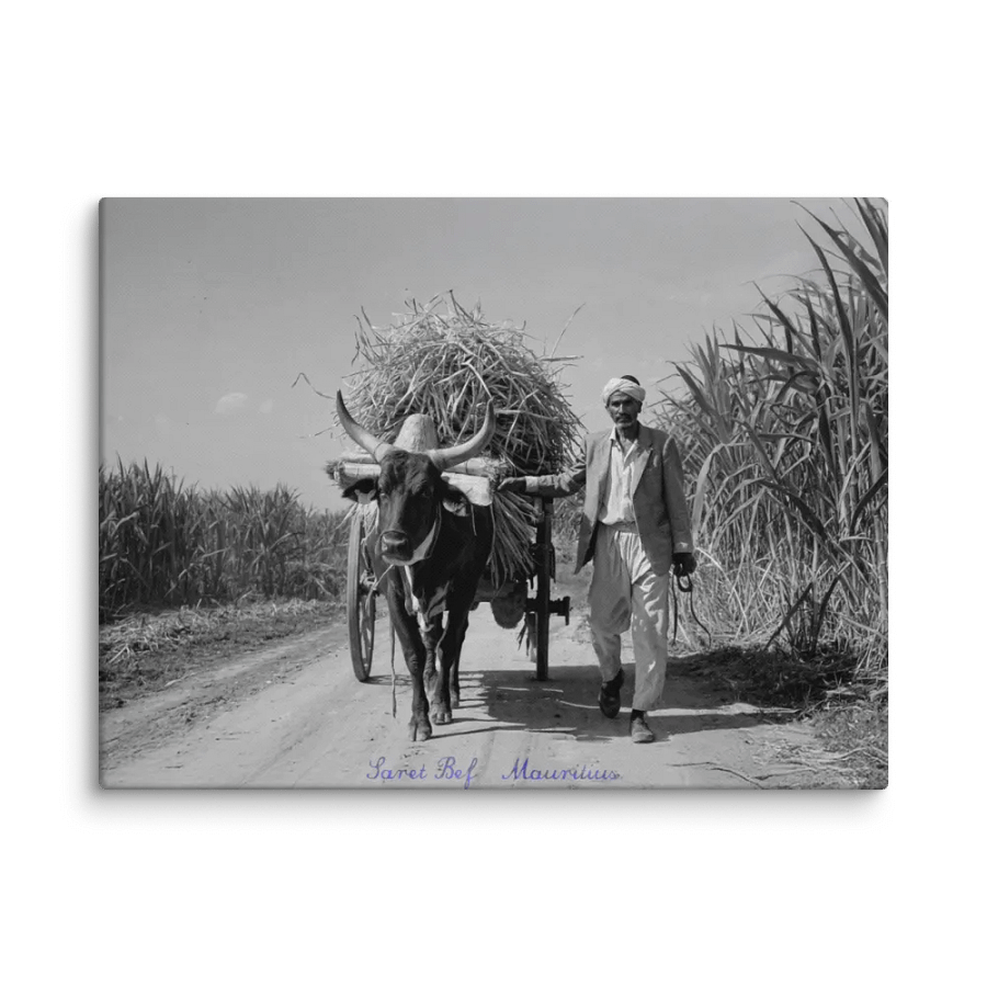 Saret Bef - Mauritius product image (3)