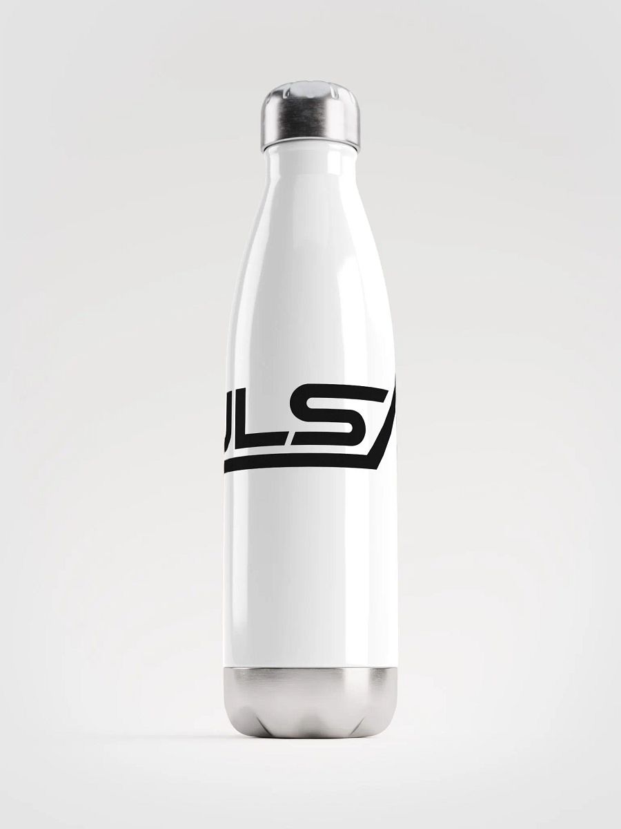 Stainless Steel Water Bottle product image (1)