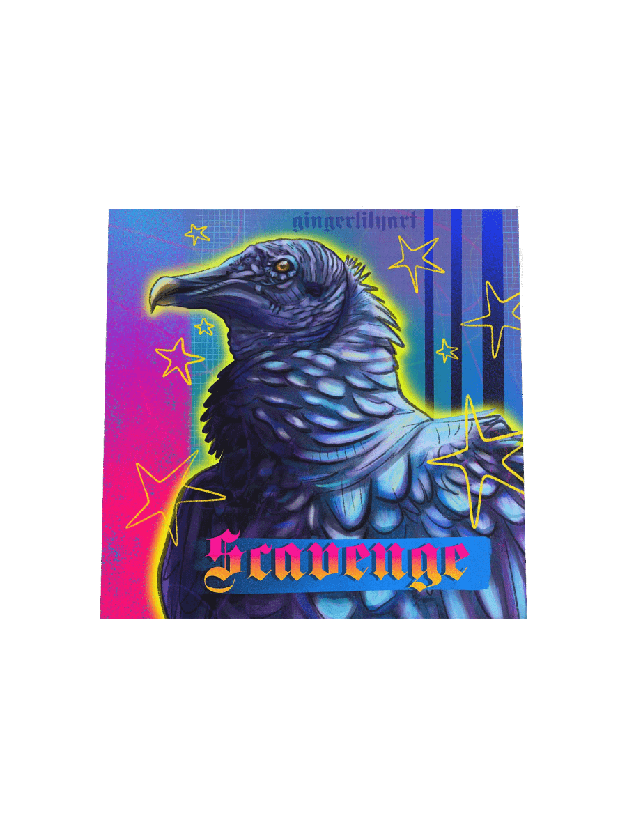 black vulture product image (4)