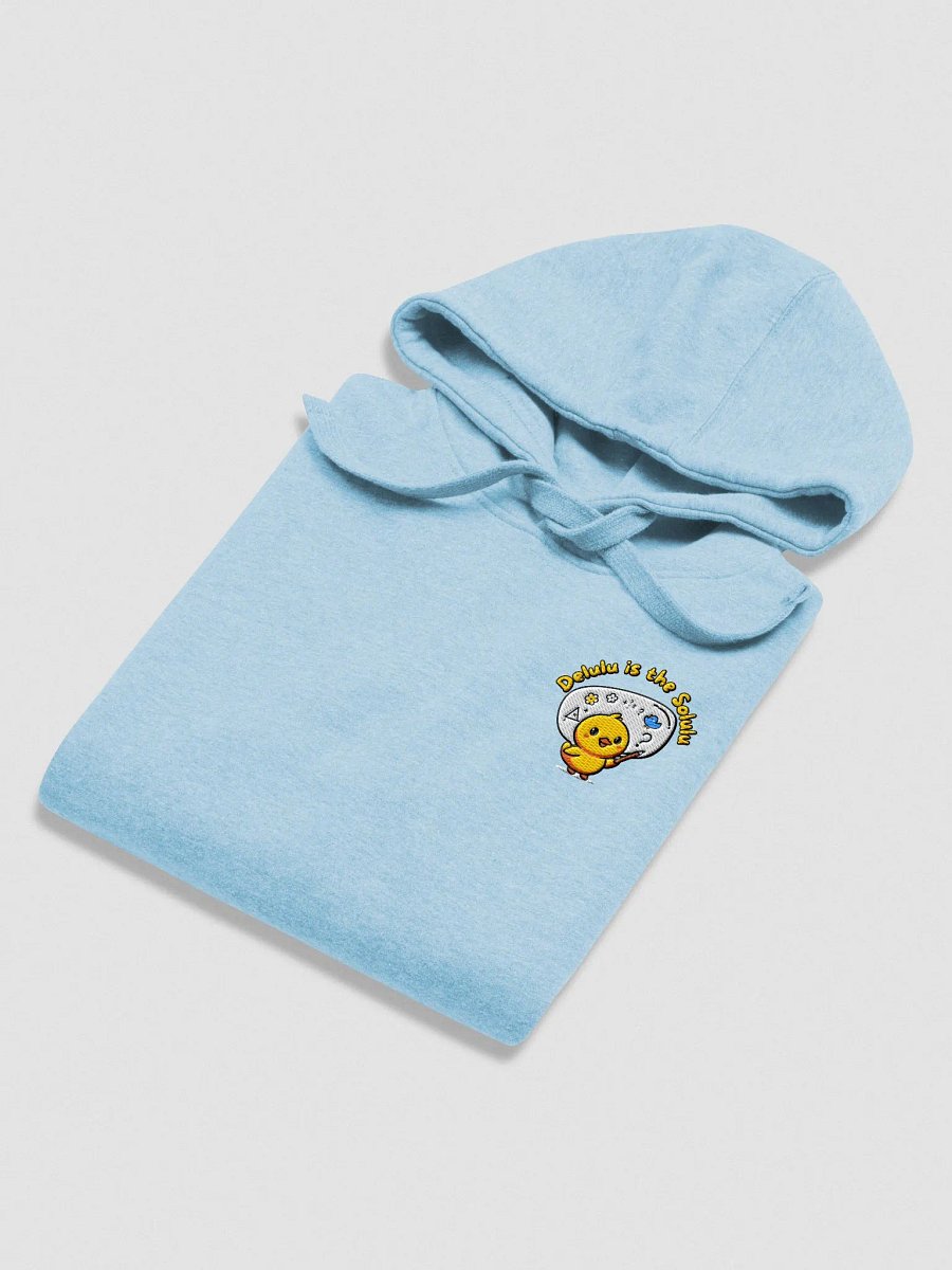 Embroided Delulu Hoodie (Small Logo) product image (25)