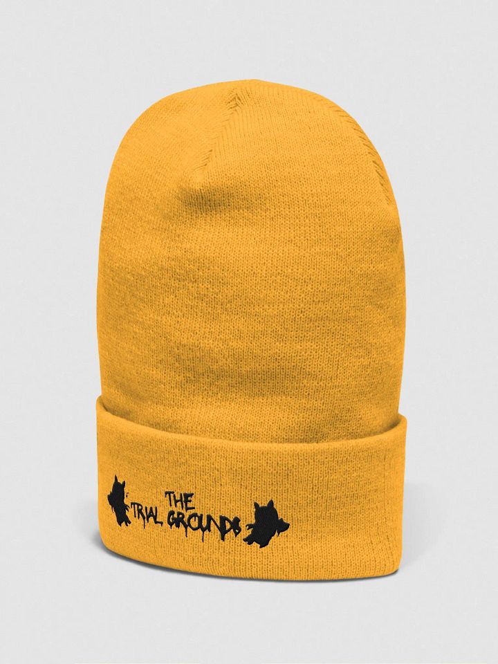 Trial Grounds Community beanie product image (5)