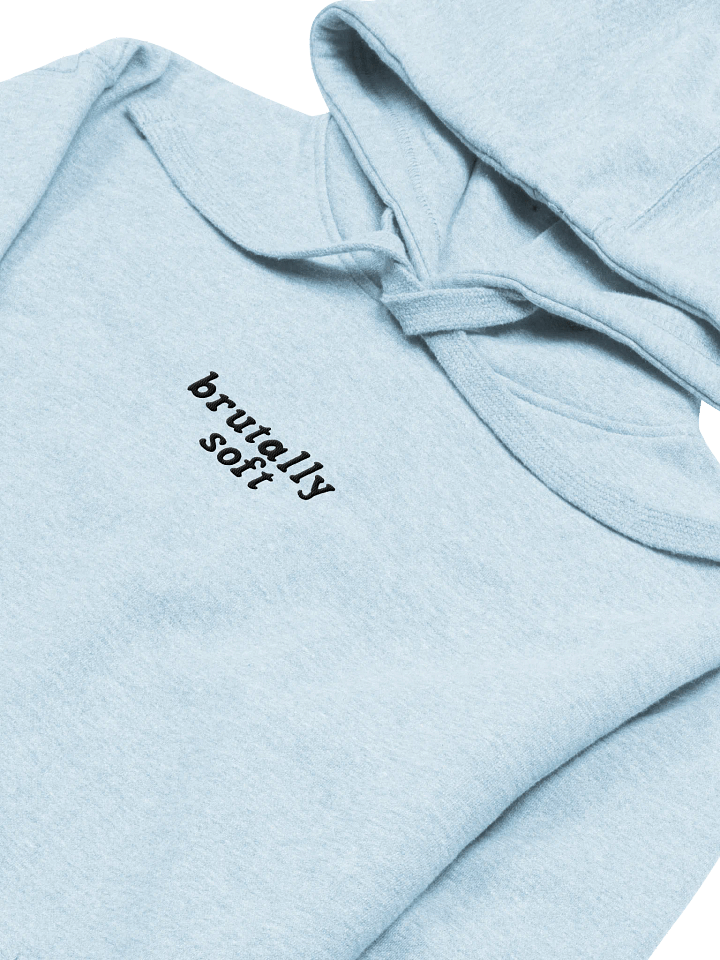 Brutally Soft Hoodie product image (2)