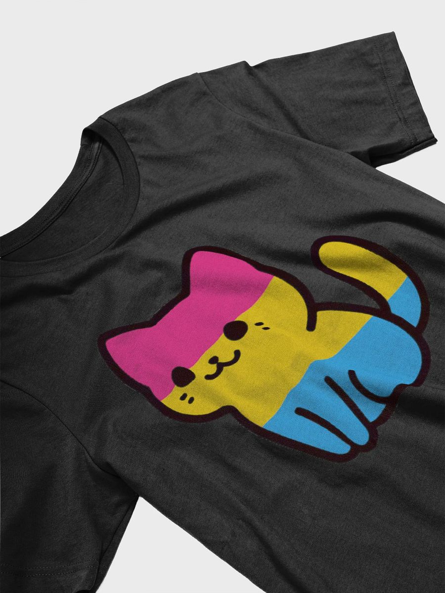 Pansexual Pride Kitty Woman's Shirt product image (29)