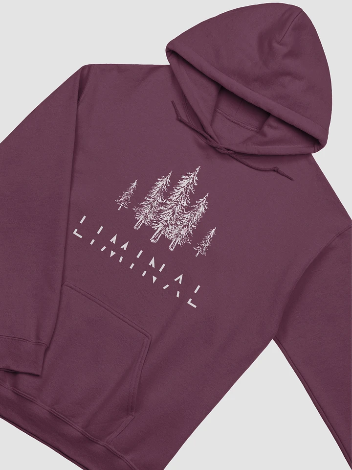 LIMINAL Hoodie product image (4)