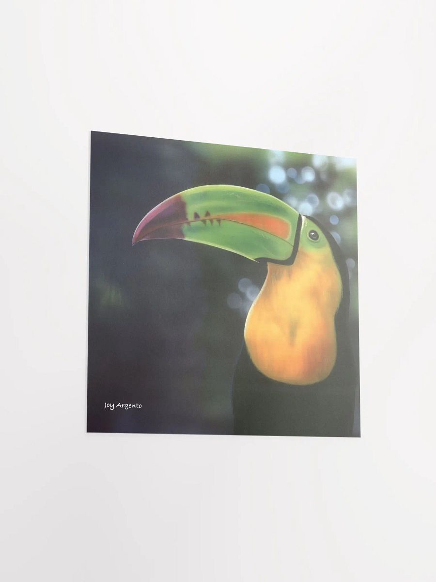Toucan Print product image (7)