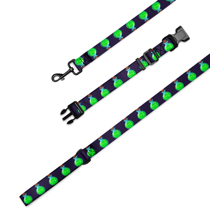 Nebula Pet Collar & Leash Set product image (1)