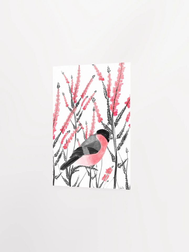 beautiful bullfinch product image (2)