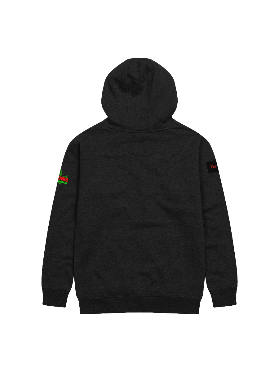 Unisex Hoodie product image (2)