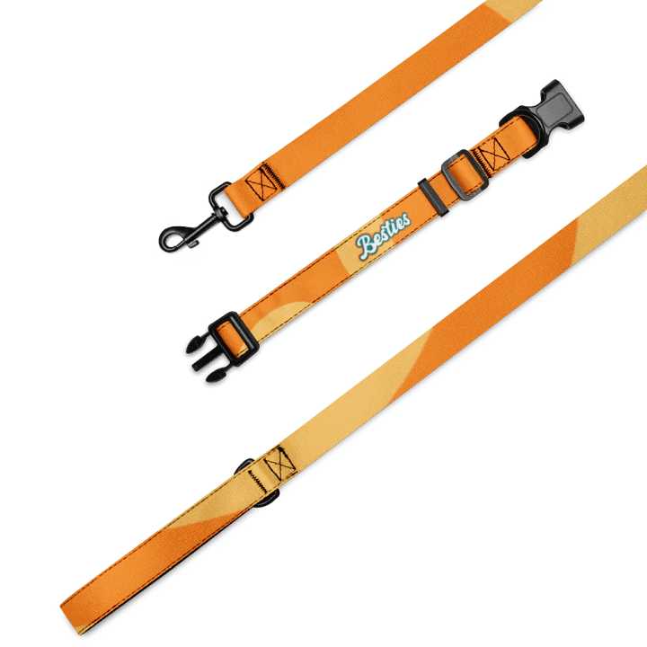 Besties Groovy Pet Collar & Leash Set product image (1)