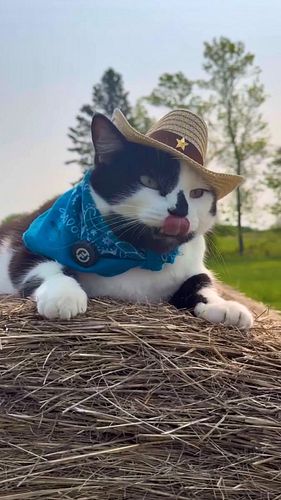 Terry Got Tipped 🐄
@spicerjackjack 

Thank you @hope_alexandreaaaa @taco_escapade for the video suggestion! 😎🙏🏼

If you’re a ...