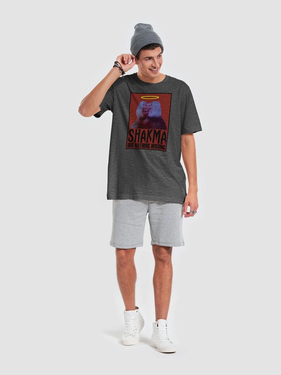 Shakma Did Nothing Wrong product image (20)