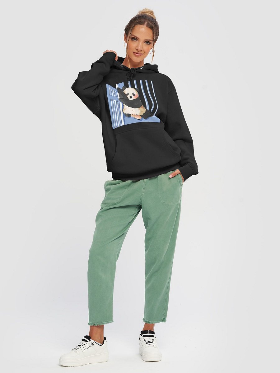 HUIBAO🐼Giant Panda product image (38)
