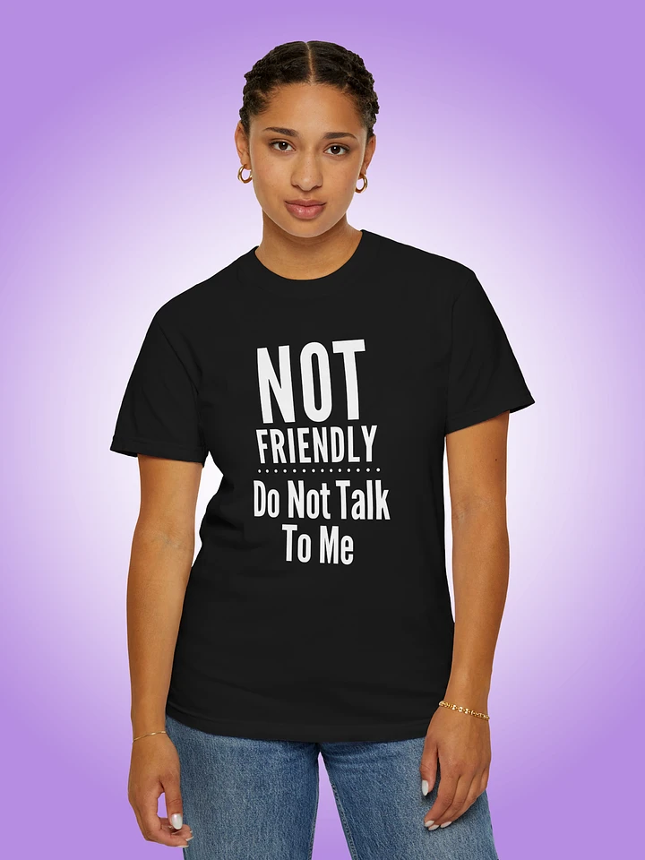 Not Friendly | Do Not Talk To Me product image (1)