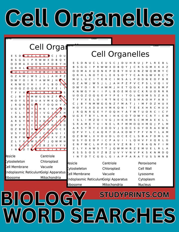 cells and organelles word search answer key product image (1)