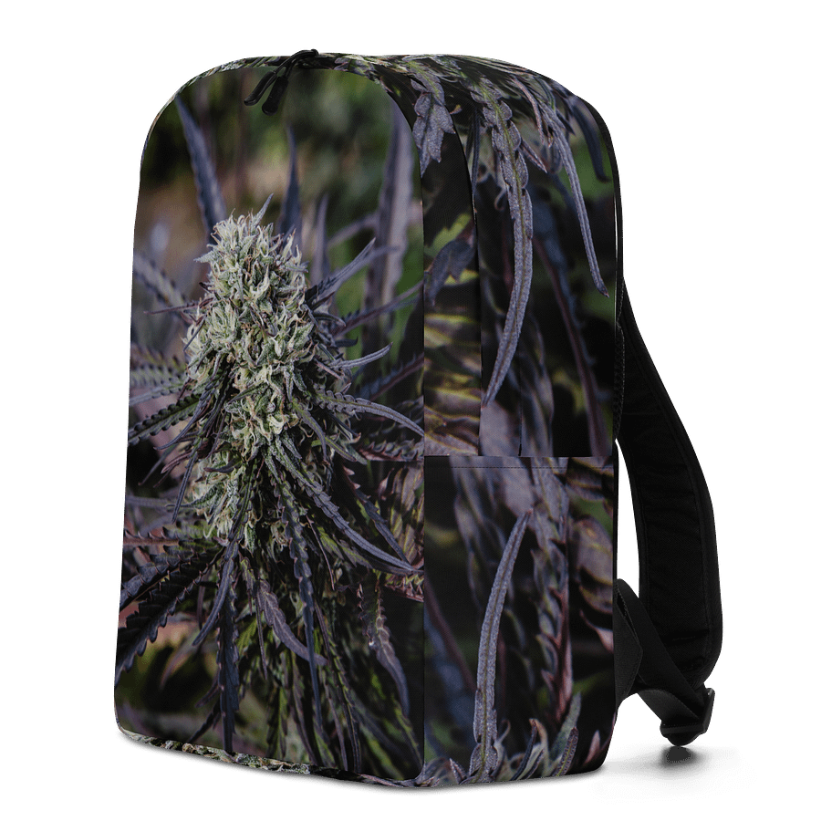 Royal Purple Cultivated Simple Backpack product image (2)